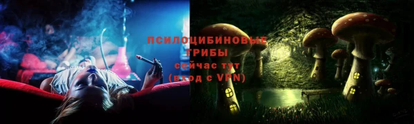 ешки Володарск
