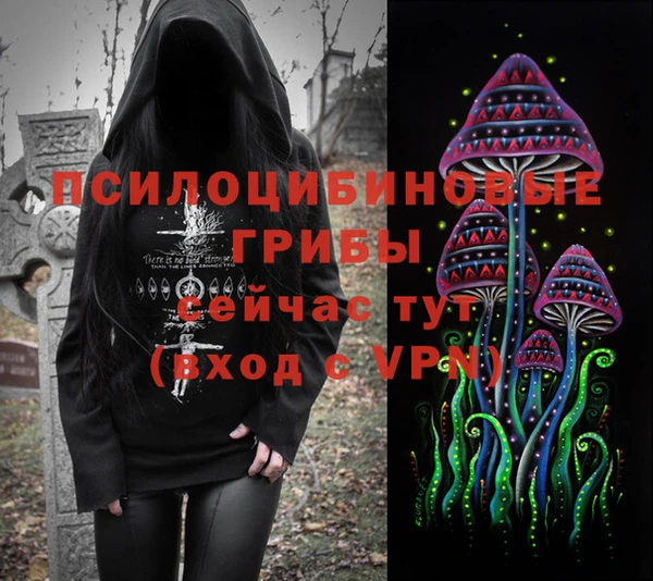 ешки Володарск