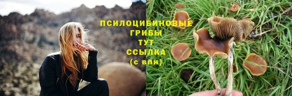 MESCALINE Волосово