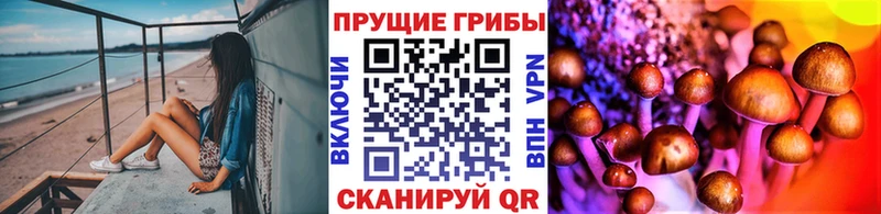 shop телеграм  Пушкино  Галлюциногенные грибы мухоморы 